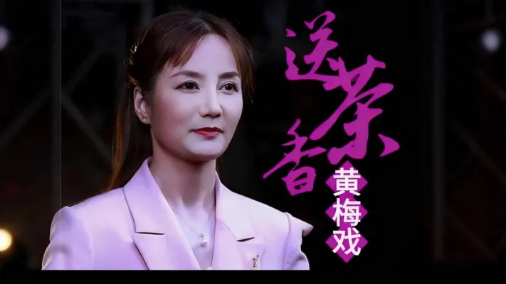 黄梅戏《送茶香》选段，这为老师唱的太好听了