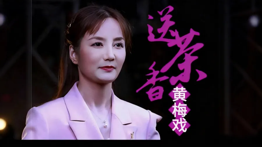 黄梅戏《送茶香》选段，这为老师唱的太好听了