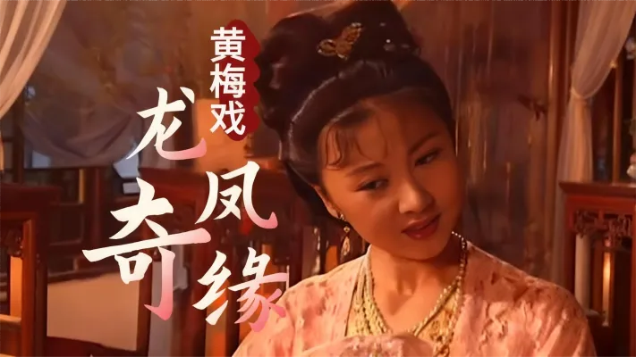 黄梅戏《龙凤奇缘》倚窗慢慢等，等到月光明选段