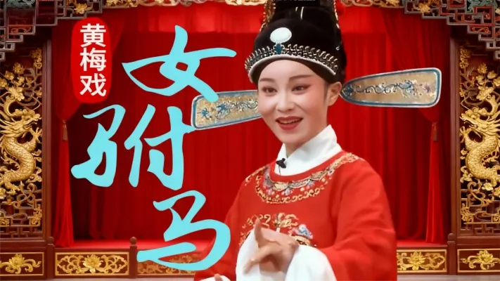 赵丽黄梅戏《女驸马》选段