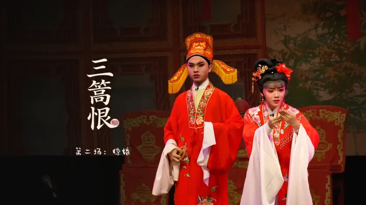 潮剧《三篙恨》第二场：惊婚-广东粤东潮剧院