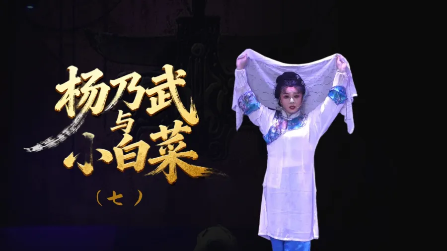 越剧《杨乃武与小白菜》-第七场