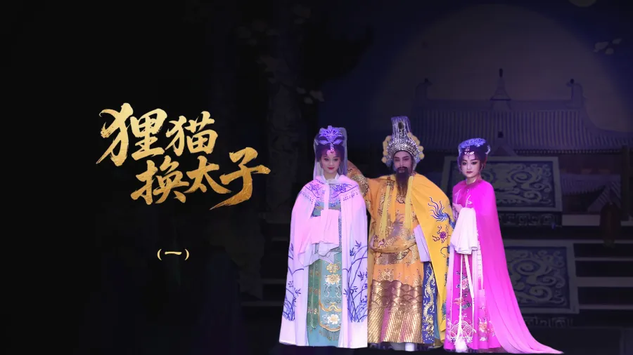 越剧《狸猫换太子》-第一场