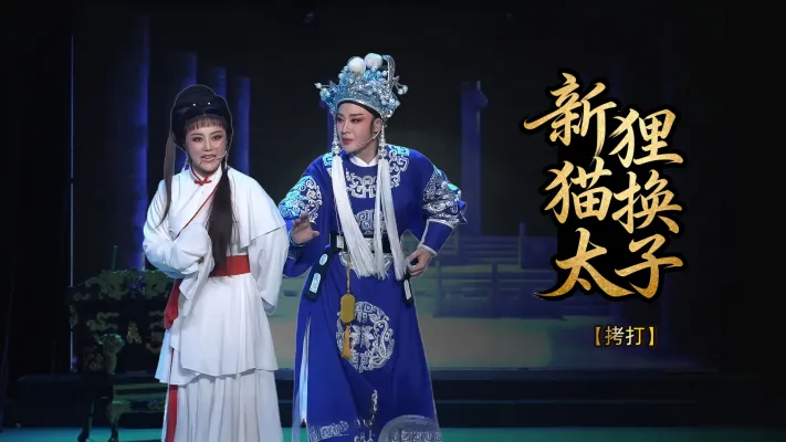 越剧《新狸猫换太子》第六场-台州市椒北小百花越剧团