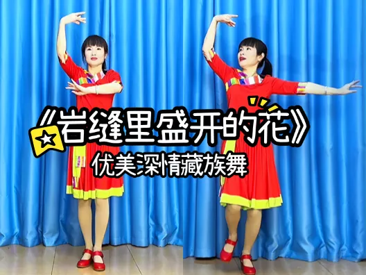 优美深情藏族舞《岩缝里盛开的花》正背面演示及口令分解
