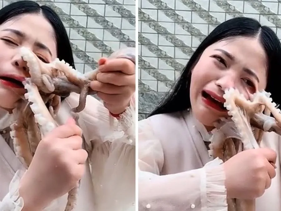 舌尖上的死神：致命食物警示录