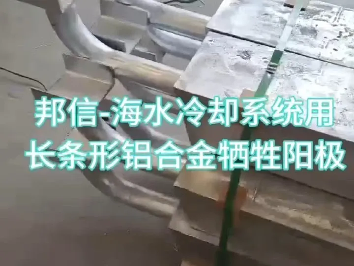 海水冷却系统用铝合金牺牲阳极 500*105+135*100mm AE-6