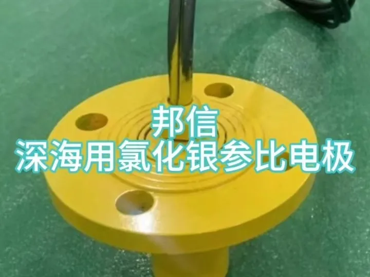 深海用银氯化银参比电极氯化银阴极保护装置