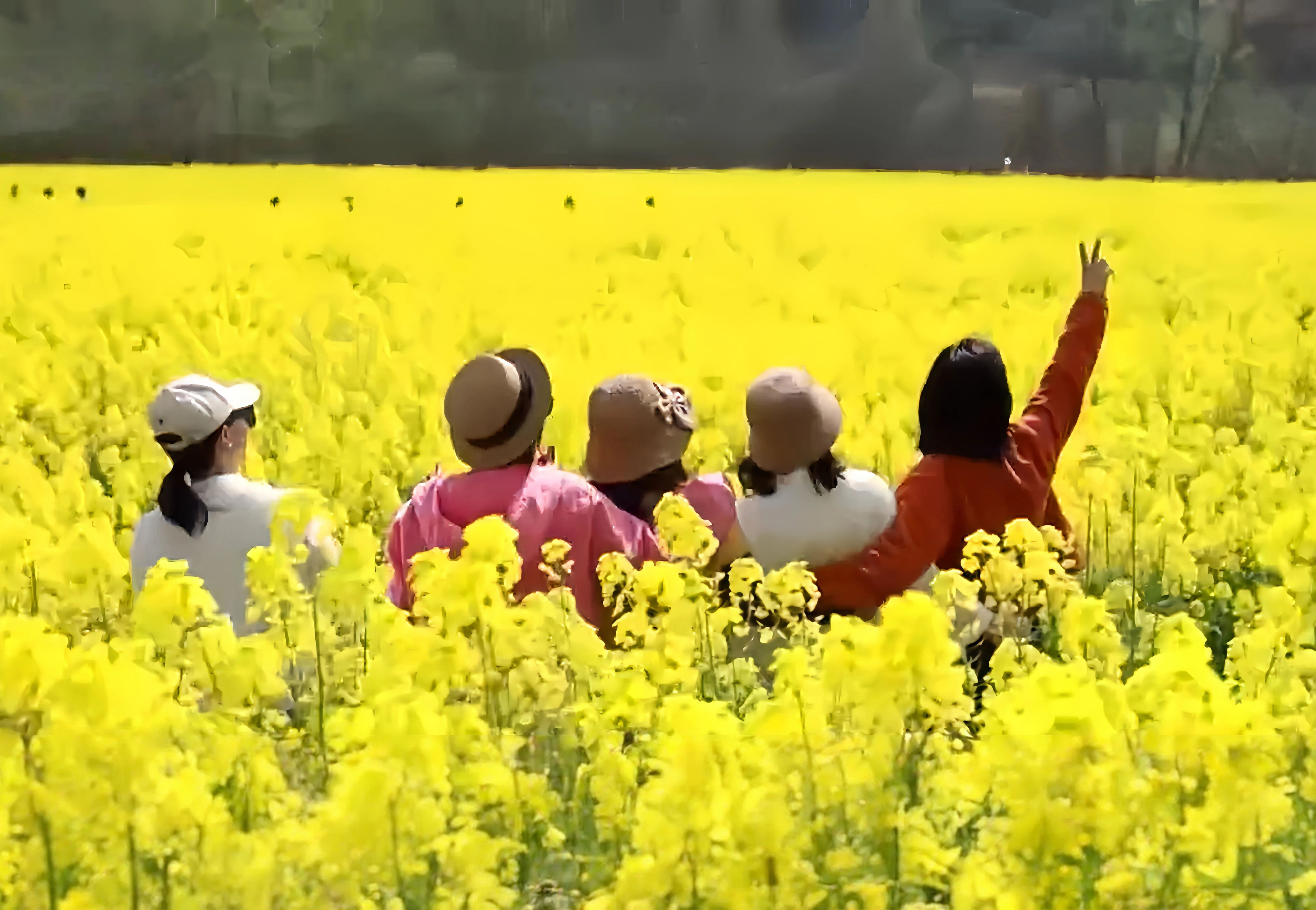 “花样经济”让群众在家门口乐享“诗与远方” 赶赴“春天的约会”燃动文旅市场