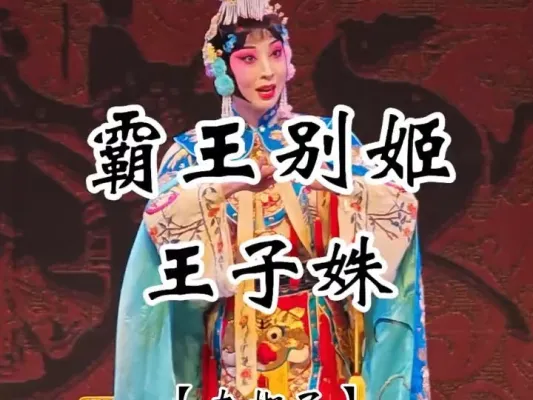 《霸王别姬》王子姝(饰)虞姬 “看大王在帐中和衣睡稳”选段