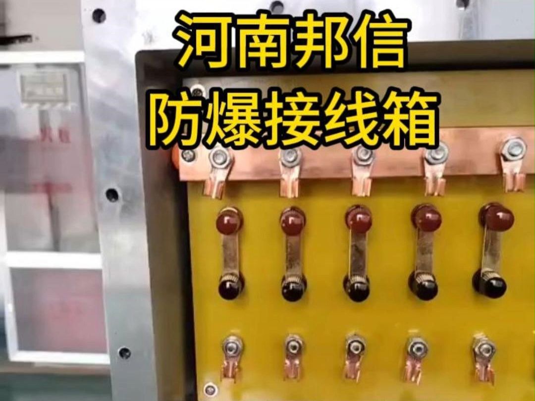 防爆接线箱 阴极保护专用防护设备 