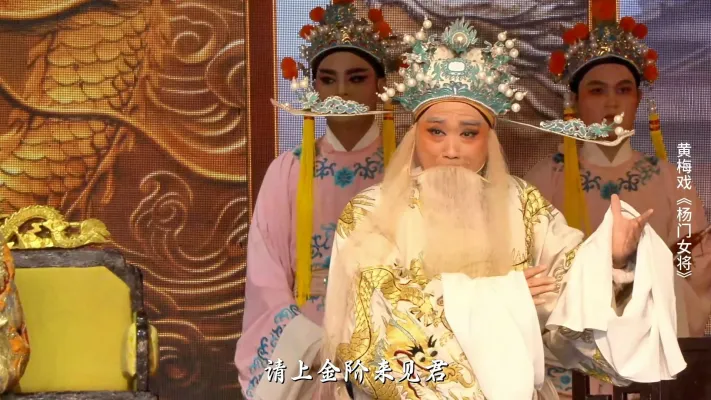 黄梅戏《杨门女将》第二场-安徽芜湖黄梅戏剧团