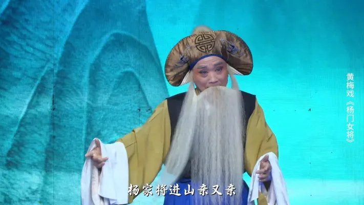 黄梅戏《杨门女将》第八场-安徽芜湖黄梅戏剧团
