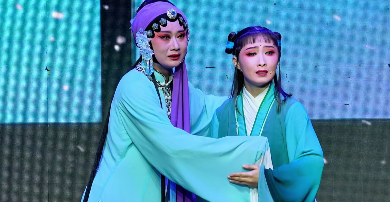 黄梅戏《荞麦记》第五场：受辱归途-安徽芜湖黄梅戏剧团