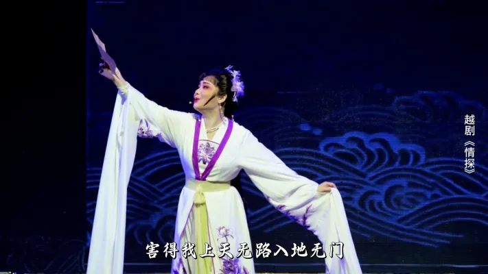 越剧《情探》第四场：阳告-浙江省诸暨市越剧团