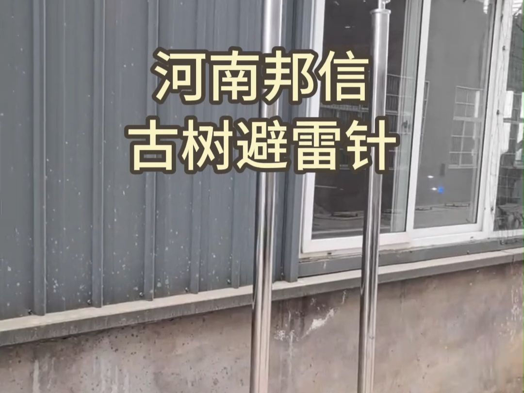 古树防雷保护装置 专业古树避雷