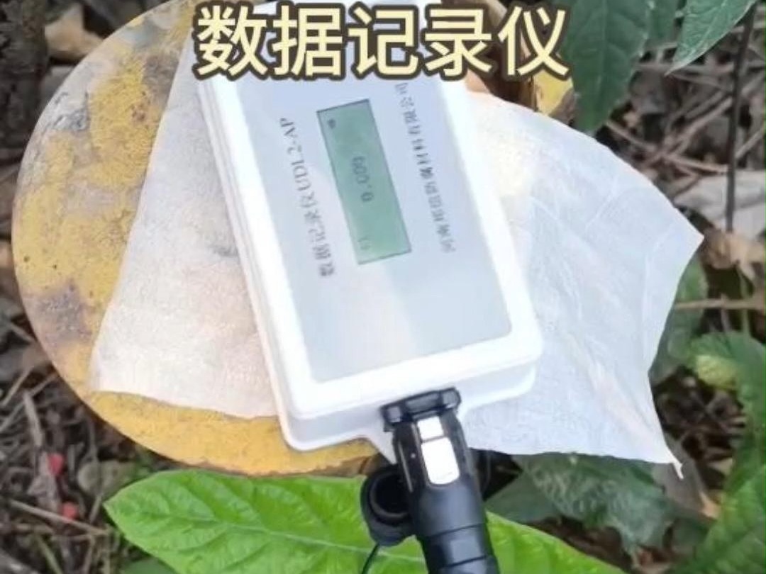 高精度阴极保护数据记录仪 管线防腐监测利器 