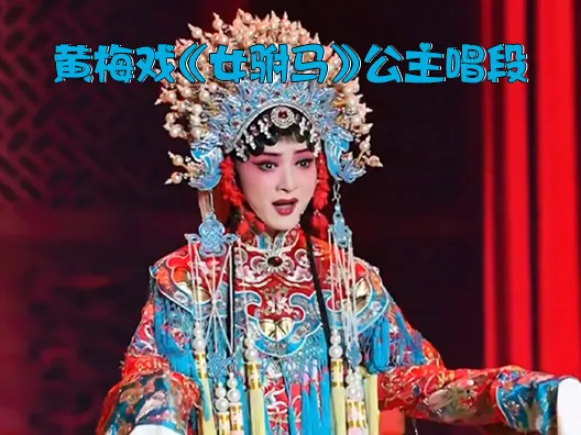 黄梅戏《女驸马》公主唱段“听她言来有道理”喜欢的点赞