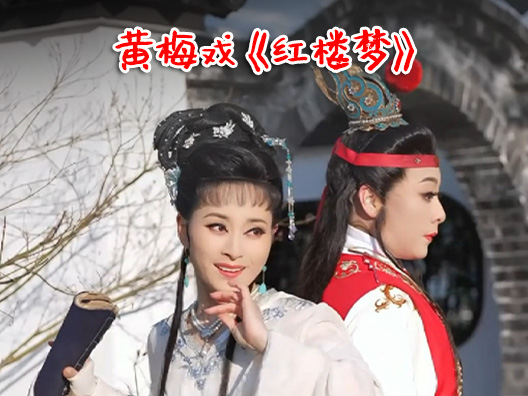 黄梅戏《红楼梦》选段，”等了那么久，一句就点透“