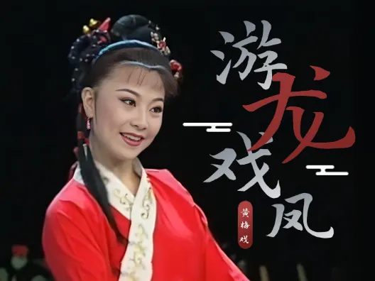 黄梅戏 《游龙戏凤》选段二,我爱上你家酒, 由演员何云、周珊演唱