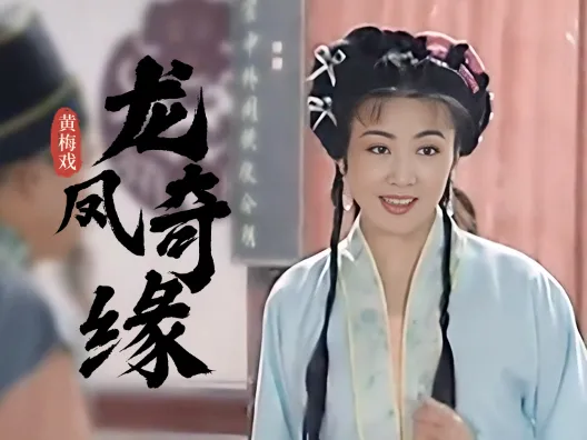 黄梅戏《龙凤奇缘》,父母双亡叹孤苦选段