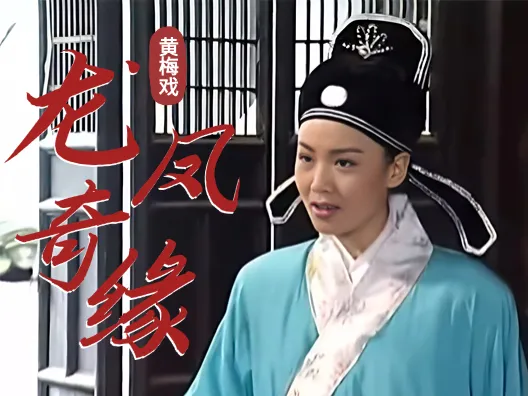 黄梅戏《龙凤奇缘》彩凤她为拒婚费尽心机选段