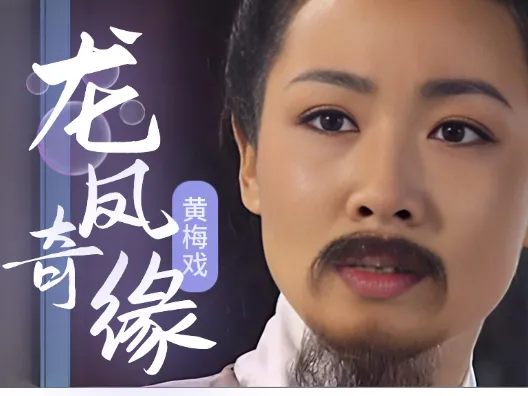 黄梅戏《龙凤奇缘》好一个心上人瘦成这样选段