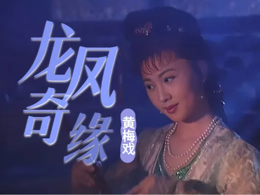 黄梅戏《龙凤奇缘》花儿你莫笑选段