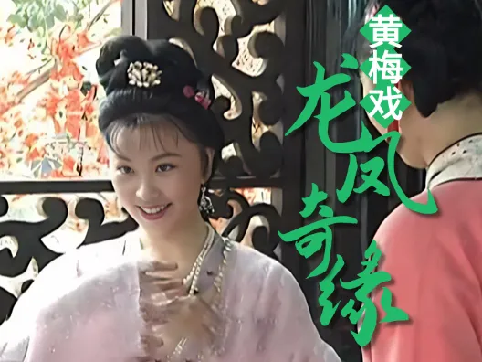 黄梅戏《龙凤奇缘》君子从来不言利选段