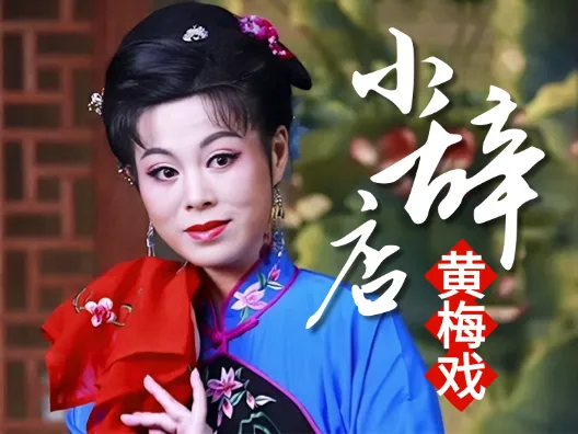 传统黄梅戏《小辞店》选段“花开花放花花世界“,金老师的精彩演绎