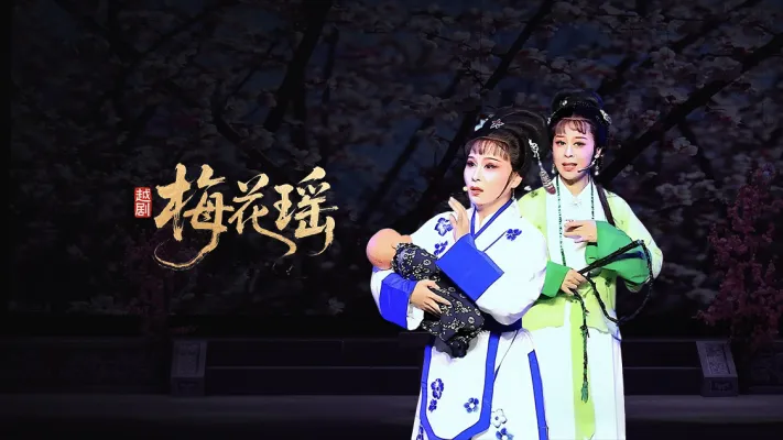 越剧《梅花瑶》-浙江红艺越剧团