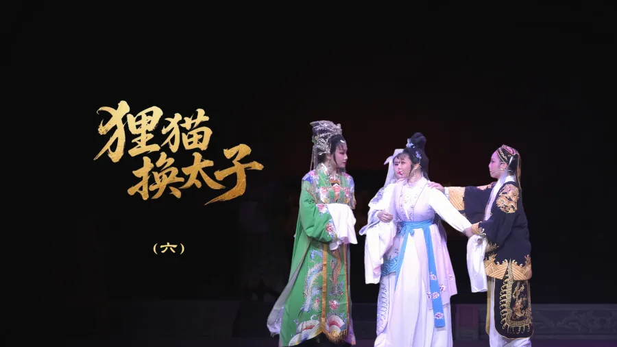 越劇《貍貓換太子》-第六場