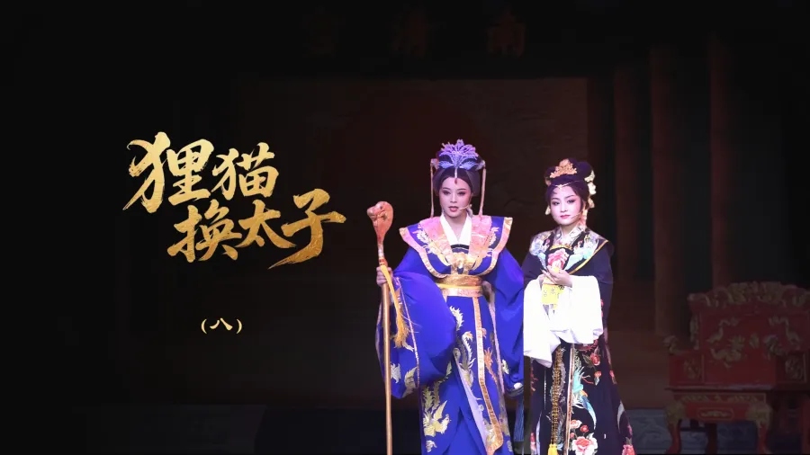 越劇《貍貓換太子》-第八場