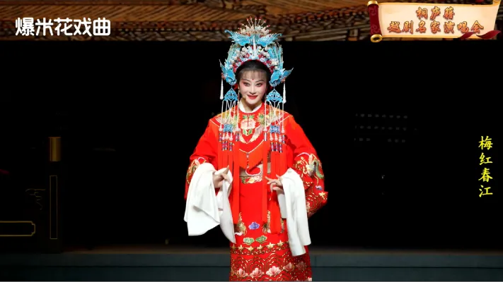 梅红春江-桐庐籍越剧名家演唱会-直播回放