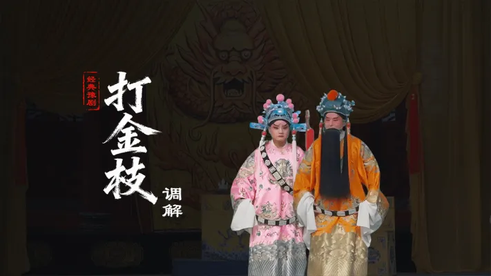 豫剧《打金枝》第五场-调解