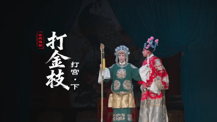 豫剧《打金枝》第一场下-打宫