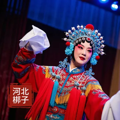 华语群星-河北花梆子(高音板胡独奏)