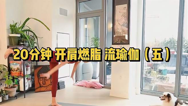20分钟 开肩燃脂流瑜伽 改善圆肩驼背（五）