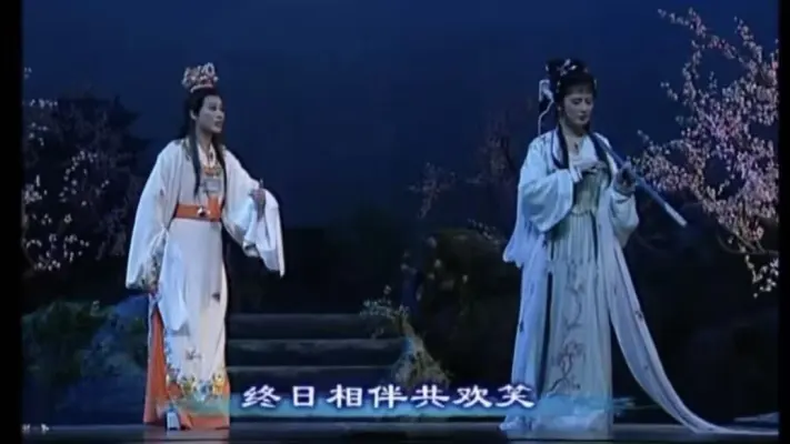 越剧《红楼梦》单仰萍&钱惠丽 这版红楼梦我能一直看~