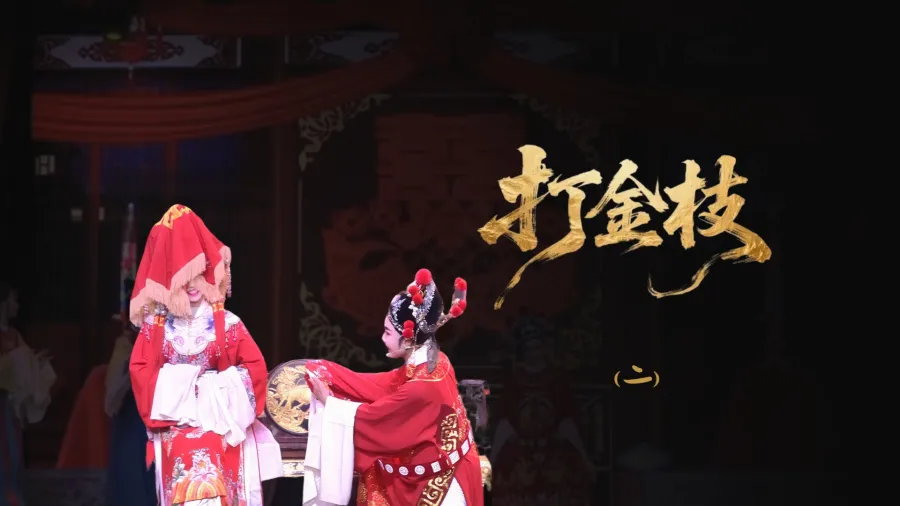 越劇《打金枝》-第二場