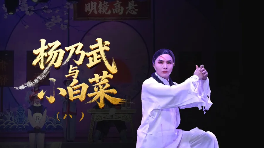 越剧《杨乃武与小白菜》-第八场