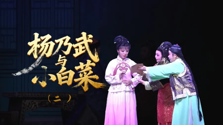 越剧《杨乃武与小白菜》-第二场