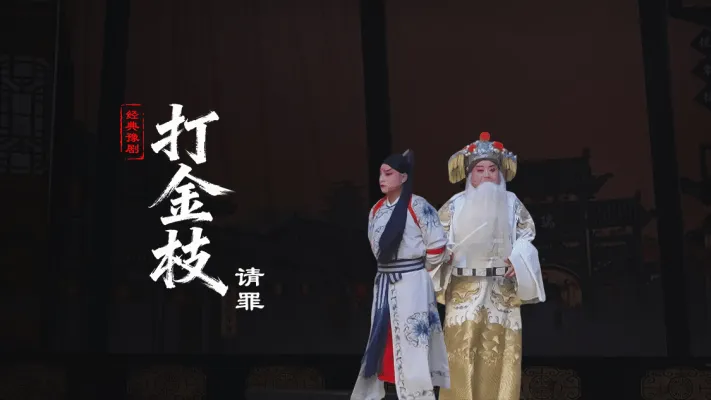 豫剧《打金枝》第三场-请罪