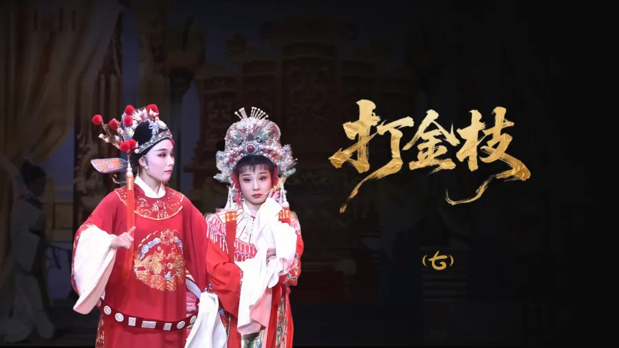 越劇《打金枝》-第七場