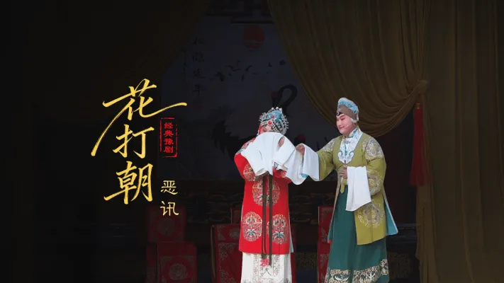 豫剧《打金枝》第五场-恶讯