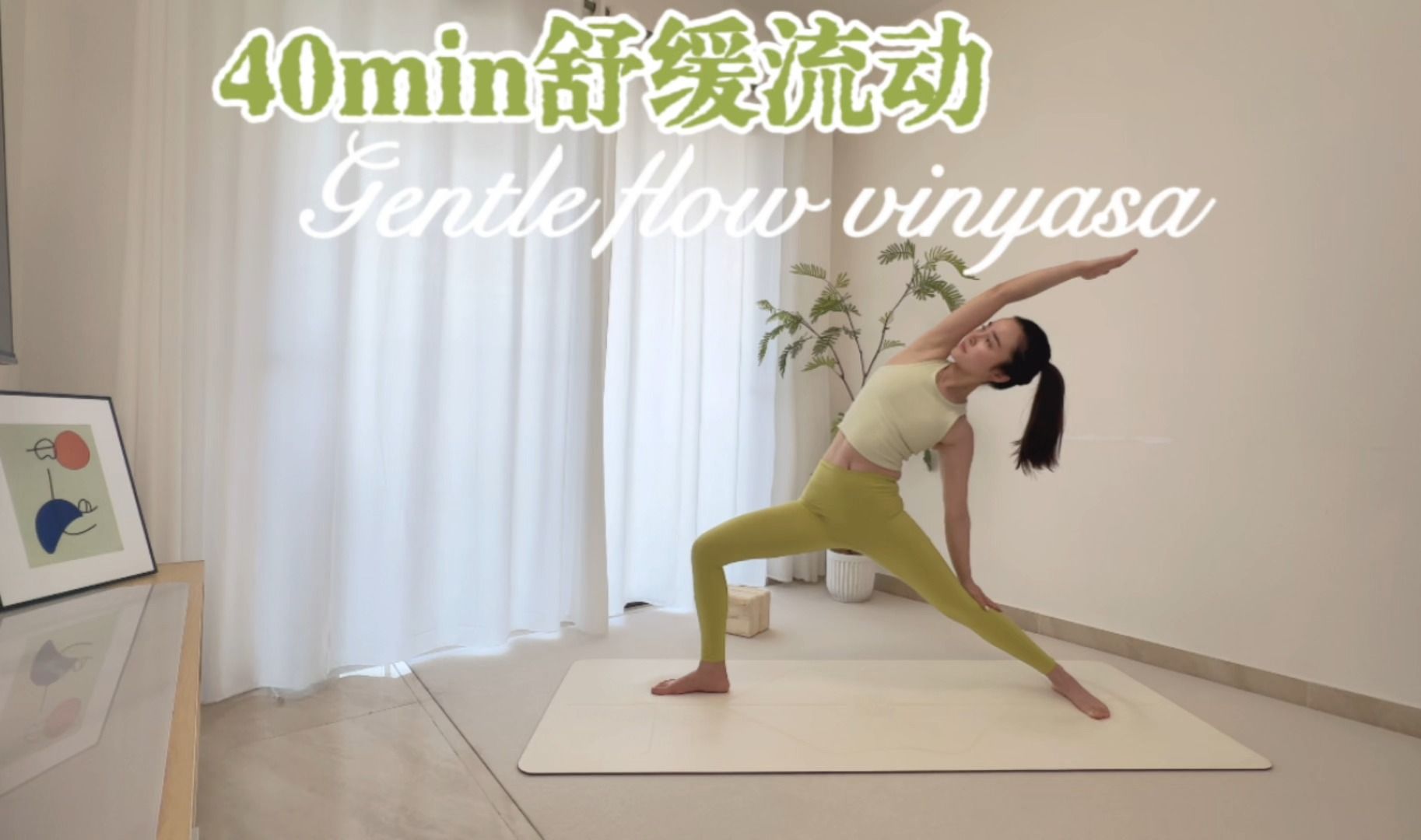  舒展身心流瑜伽 释放压力 初学者友好 力量与舒展 呼吸与流动 gentle flow vinyasa for whole body