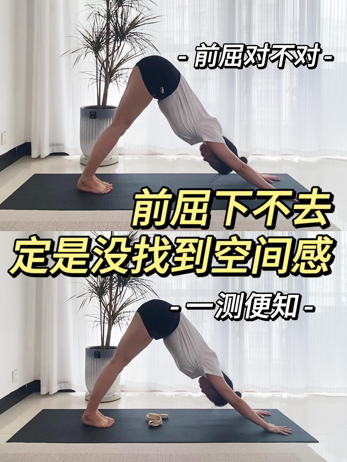 下犬里能做前屈更可 这个技巧主导加强