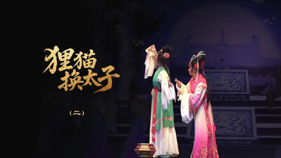 越劇《貍貓換太子》-第二場