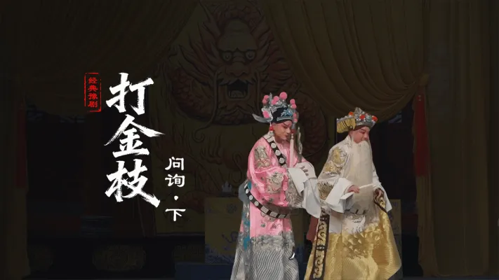 豫剧《打金枝》第四场下-问询