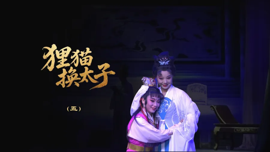 越剧《狸猫换太子》-第五场